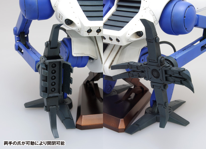 ドラン・タイプ